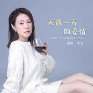 天各一方的爱情 (DJ版)