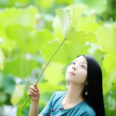 如果爱还在