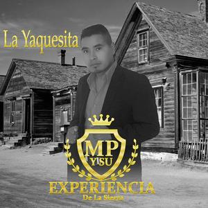 La Yaquesita