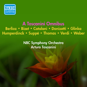 Euryanthe, J. 291: Overture