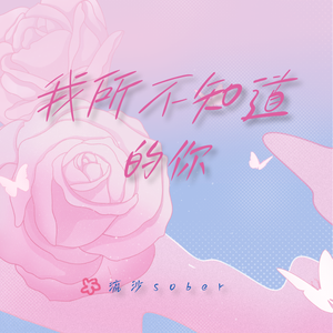 我所不知道的你