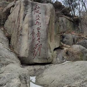 永远的青春