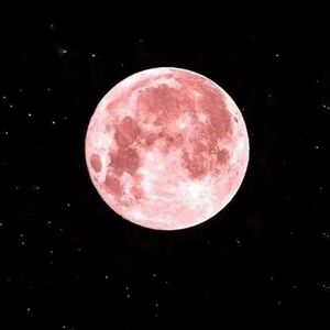 Pink Moon