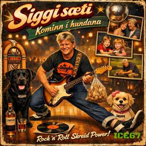 Siggi sæti (Radio Edit)