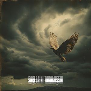 Saçlarını Taramışsın