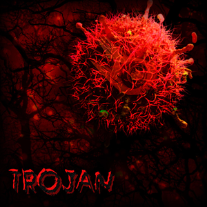 Trojan
