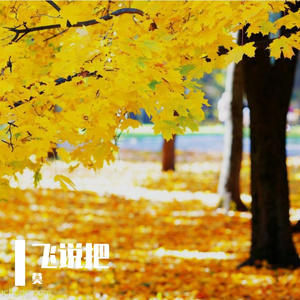 降谄呈
