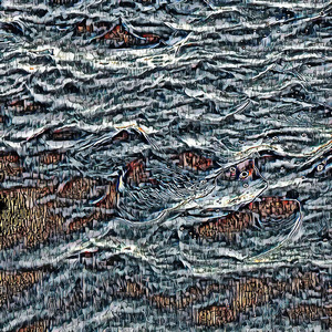 The Golden Star Knights