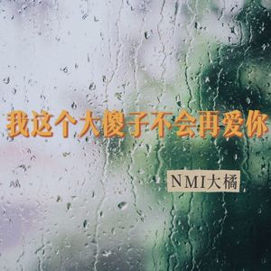 我这个大傻子不会再爱你