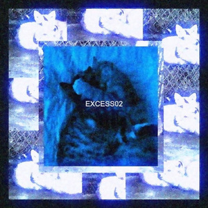 EXCESS02 (Slowed)