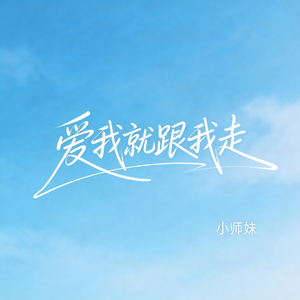 爱我就跟我走（抖音飙升版）