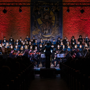 The Dragonborn Comes