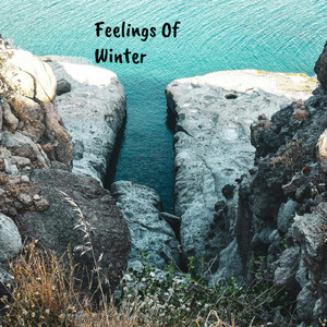 Feelings Of Winter