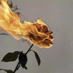c(Prod.by百川Rebellious)