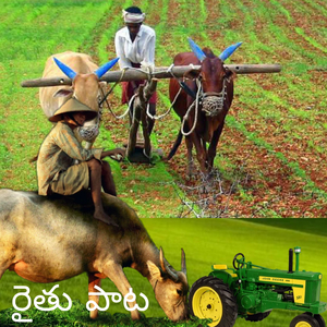 Raithu Paata
