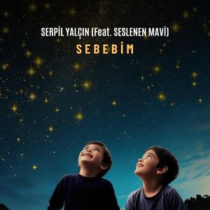 Sebebim (feat. Seslenen Mavi)