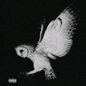 2.8 (Pressure Insane)