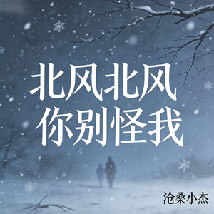 北风北风你别怪我