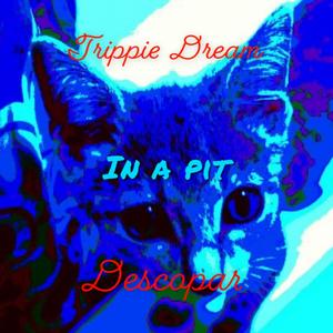 In a Pit