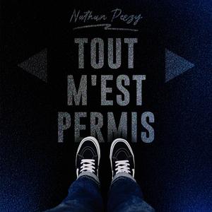 TMP(Tout M'est Permis) (feat. Sam's)