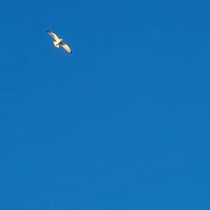 Αόρατες Αλυσίδες