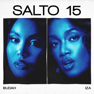SALTO 15