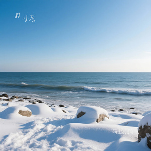 海边的雪
