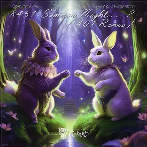 8451 Summon Night...? (401 Remix)