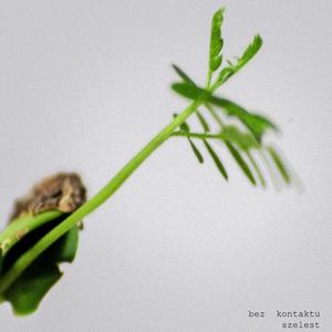 It is just another night