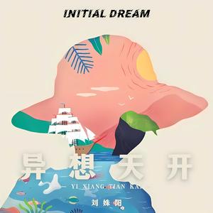 异想天开（DJ光头版）