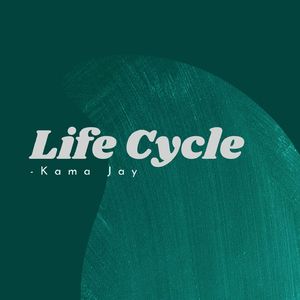 Life Cycle