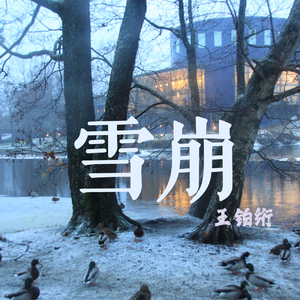 雪崩(cover王源）