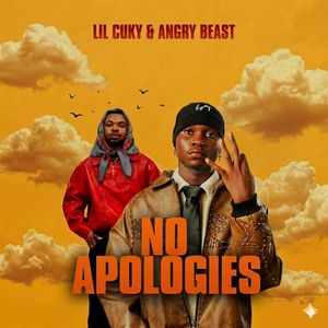 No apologies