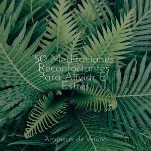 Caminando a través de cielos brumosos