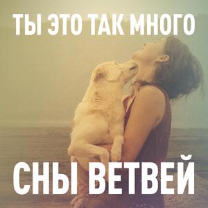 Ты это так много