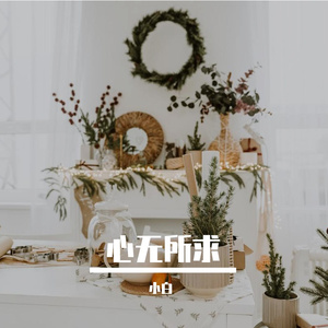 未知-对不起 戏腔 版（小白 remix）