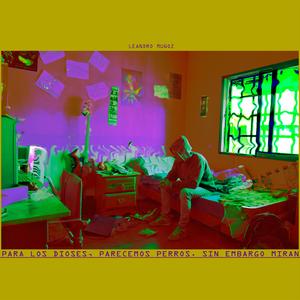 Para los dioses parecemos perros. Sin embargo miran