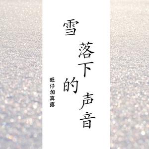 雪落下的声音 (温柔女声版)