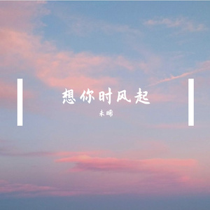 想你时风起