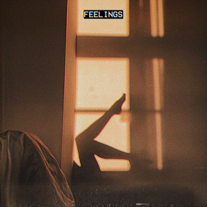 Feelings