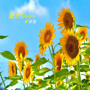 夏色Days