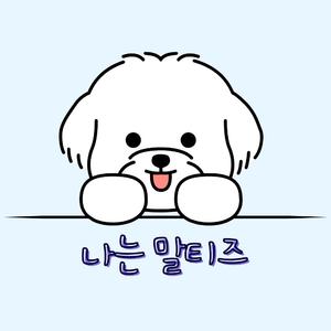 나는 말티즈