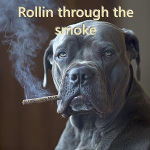 Rollin through the smoke