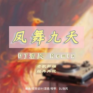 凤舞九天（DJ浩风 Remix）