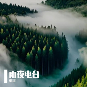 雨夜电台