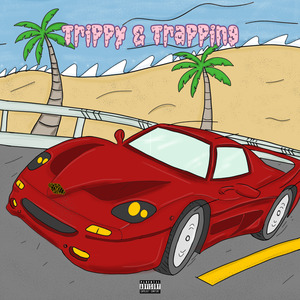 Trippy & Trapping