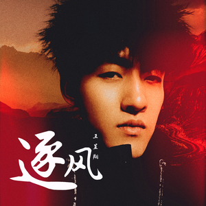 逐风