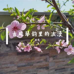 古风琴韵里的浪漫