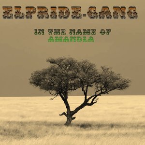 In the Name of Amandla Again