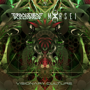 Visionary Culture (Original Mix)